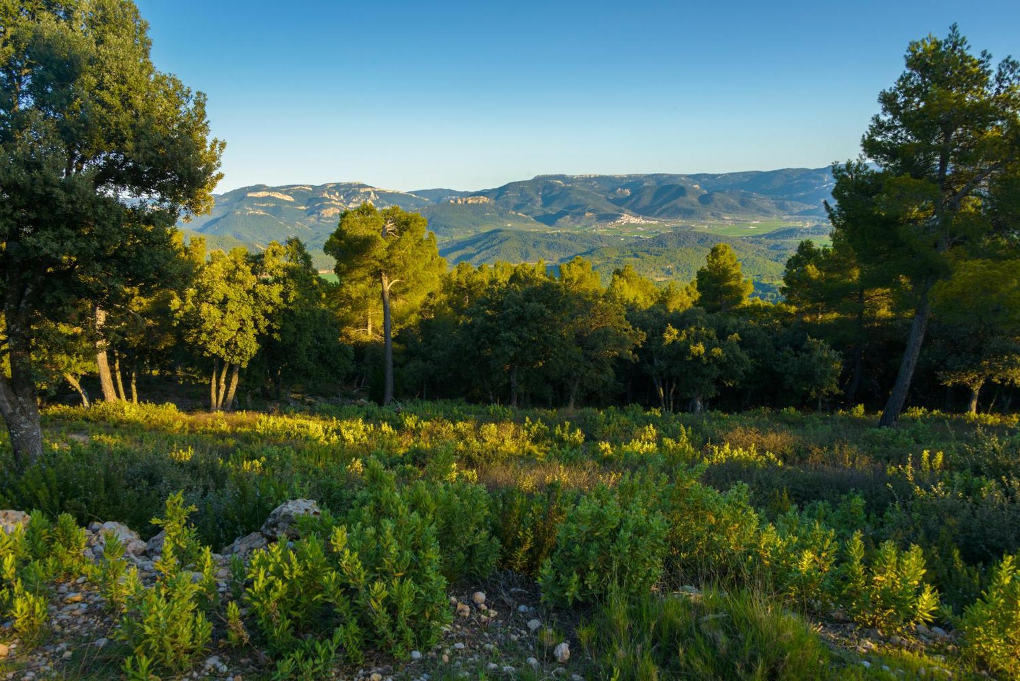 Torre Del Marques Hotel Spa & Winery - Small Luxury Hotels Monroyo Εξωτερικό φωτογραφία